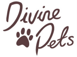 Divine Pets 神级宠物用品有限公司